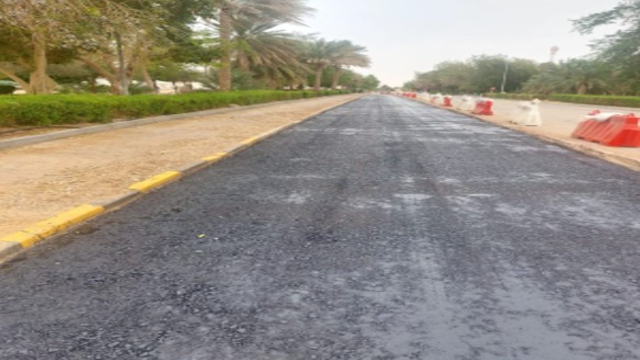 Best Infrastructure Developers LLC (BIS)